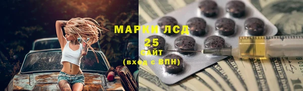 твердый Аркадак