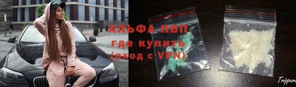 твердый Аркадак