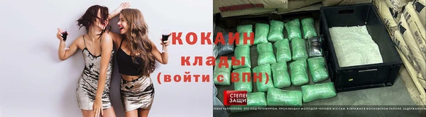 твердый Аркадак