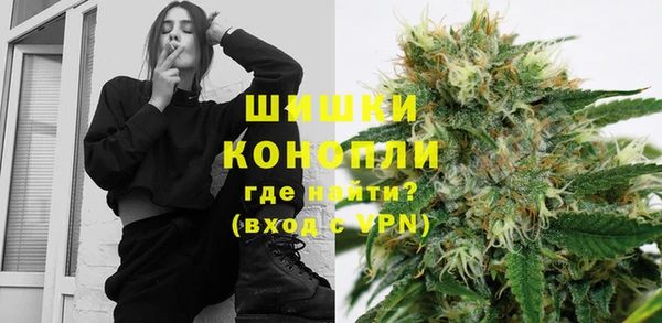 крисы Апатиты