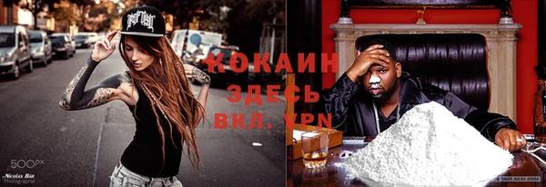 твердый Аркадак